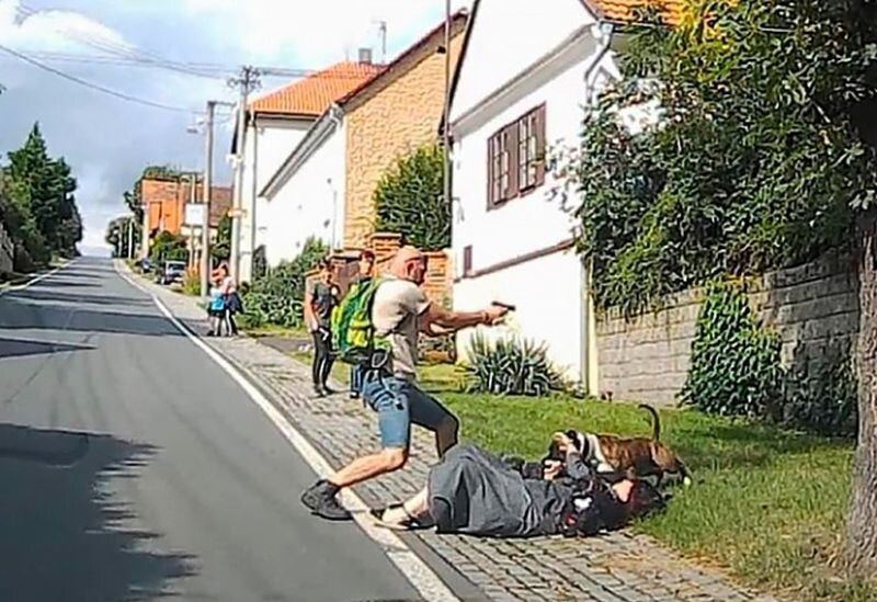 قام ضابط شرطة برد فعل ممتاز بحماية والدته من الكلاب العدوانية (1 صورة + 1 فيديو)