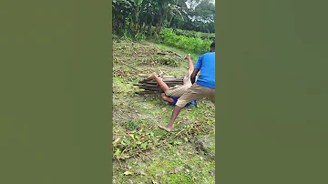 [HI] नया विशेष मज़ेदार वीडियो ???????? #funnyshorts #funny #shorts #villefunny