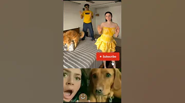 [HI] वायरल फनी वीडियो डांस | #वायरल #डांस #ट्रेंड