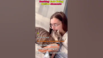 [ZH] 这些猫欺负所有人????（排名版）#catvideos #funny #shorts