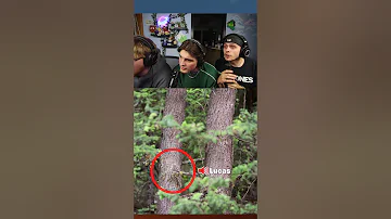 [ZH] 发现动物或吃鬼辣椒#challenge #funny #animal #guess #game