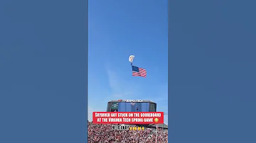 [EN] Skydiver got STUCK on the scoreboard ????