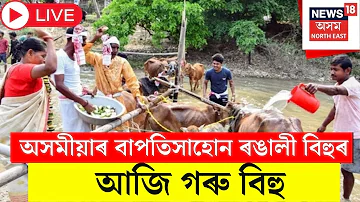 [ZH] Bohag Bihu 2026 现场直播 |今天是Rangoli Cow Bihu |博哈格比胡 2026 |阿萨姆邦传统|