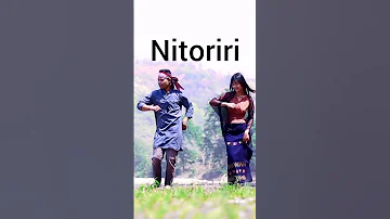 [HI] नितोरिरी - #शॉर्ट्सडांस
