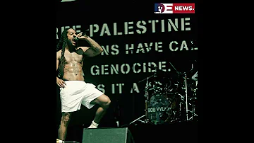 Desitdown News (UK police say pro Palestine performances at Glastonbury subject) #desitdown #news