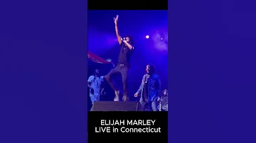 [ZH] Elijah Marley 在康涅狄格州现场演出。 #elijah #marley #junior #gong