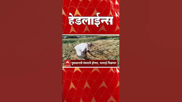 [ZH] ABP Majha 头条新闻：上午 10.30：ABP Majha 头条新闻：2026 年 4 月 2 日：ABP Majha