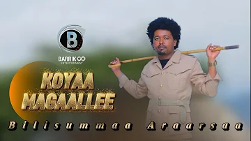 [EN] KOYAA CITY OF OROMO MUSIC BY FREEDOM OF RECONCILIATION