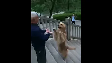 [ZH] 笑笑笑好笑