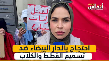 Protest in Casablanca against the poisoning of cats and dogs