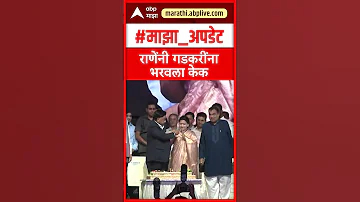 Narayan Rane Birthday : राणेंनी गडकरींना भरवला केक