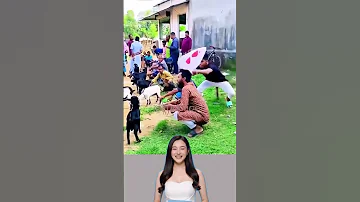 [HI] बेस्ट फेल 85 #फनीवीडियो #फेल #कॉमेडी