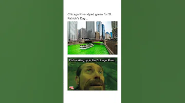 Fish's first day in the green Chicago River #shorts #meme #funny