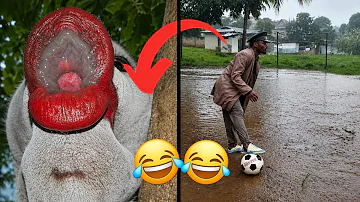 [HI] इंटरनेट पर सबसे मजेदार विफलताओं में से शीर्ष (2026)????|हंसने की कोशिश न करें Ep3 ????????
