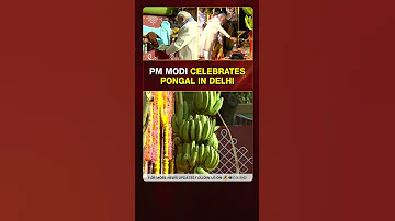 [EN] #PMModi Celebrates Pongal in Delhi | Sankranthi 2026 | Political News Updates | #YTShorts