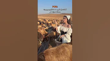 ايه العسل ده ؟ رقص منازل #اكسبلور