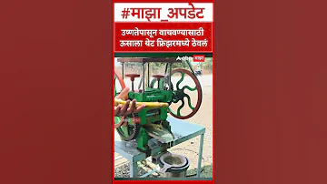 Beed News : बीड जिल्ह्यात उन्हाचा पार वाढला, ऊसाला थेट फ्रिझरमध्ये ठेवलं