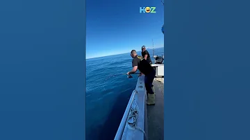 The end ???????????? #funny #fails #viral #humorzaar