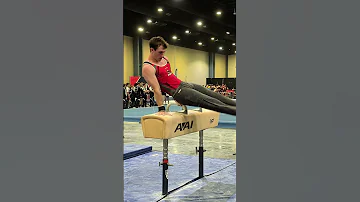 [EN] Karl Vachlin Pommel Horse NIU