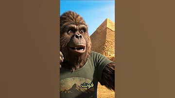 [EN] 