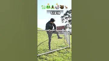 [EN] How Animals Get Over a Fence (With Emojis) ????
