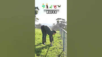 [EN] How animals get over a fence ???? pt2 (With emojis)