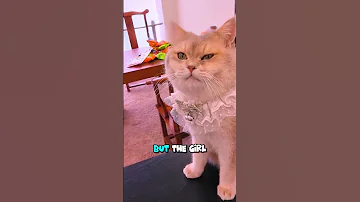 ميلو يعرف تماماً من هو المزيف! ????????