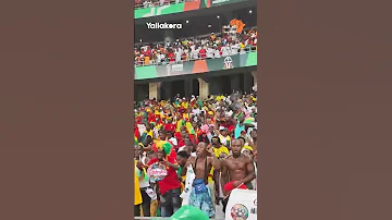 احتفال جماهير غينيا بالتأهل لربع نهائي أمم أفريقيا #يلاكورة #AFCON2023