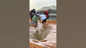 Instant Regret ???? Funniest Moments Caught on Camera!
