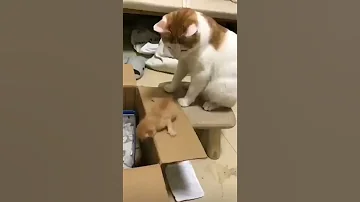 اضحك ضحك laughter funny