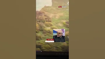 محلل سياسي يستبعد مسؤولية إسرائيل والولايات المتحدة عن حادثة تحطم طائرة رئيسي