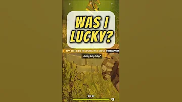 [ZH] 远西——我幸运吗？ #farfarwest #gaming