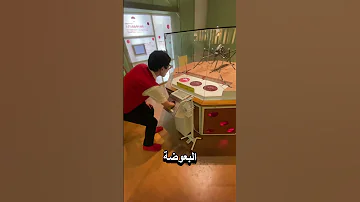 هكذا يكون الشعور عندما تلدغك بعوضة ضخمة! ????????
