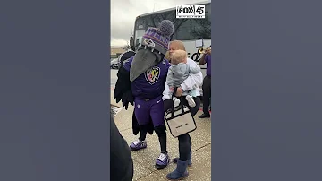 ????????PURPLE FRIDAY! ???????? See the Ravens Rally in Columbia