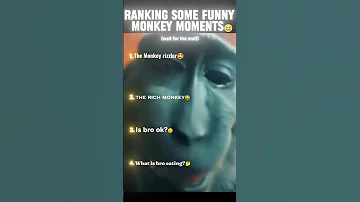 [EN] Ranking the TOP 4 funniest monkey moments