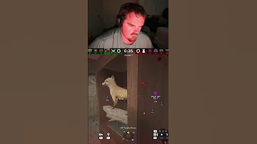 [EN] It Wasnt Worth The Yell Bro..... #ubisoft #gaming #fps #r6siege #r6le