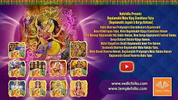 [HI] बगलामुखी महा विजय स्तंभन यज्ञ (बगलामुखी जयंती एवं दुर्गा अष्टमी) | वैदिक लोग