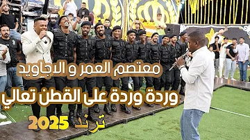 مجوز وردة وردة … على القطن تعالي ؛ احدث ترند 2025 ؛ معتصم العمر و فرقة الاجاويد