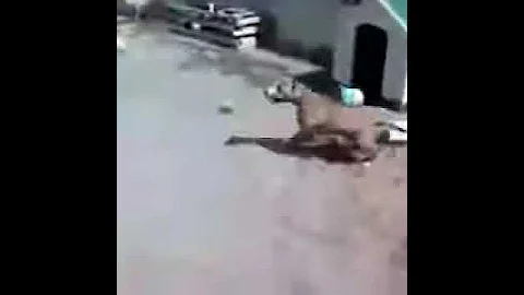 [EN] Exclusive funny jokes YouTube 4