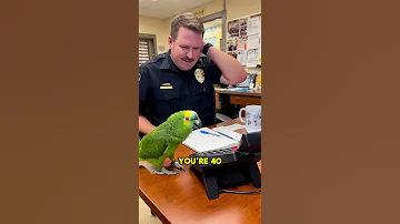 PARROT Roasts 40-Year-Old Cop for Getting 