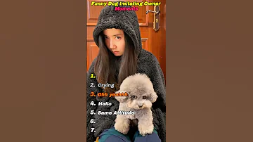 Dogs Imitating Owners Moments That'll Make You Laugh ???? #dog #funny #relatable