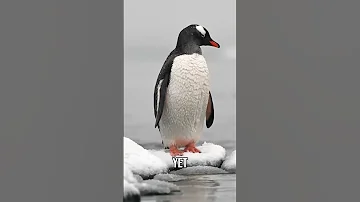 AI Is Making Everything Look the Same (Here's Why)