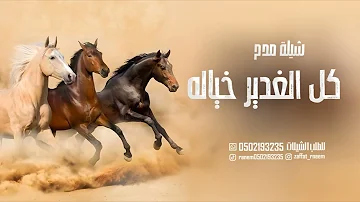 [ZH] Shilat of all Al-Ghadir，热情的幻想舞蹈 2026，Shilat 仅赞扬 Al-Ghadir 家族，Shilat Al-Ghadir