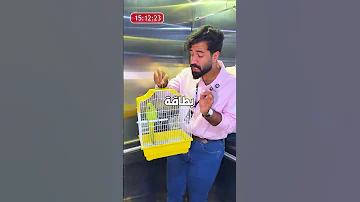 ١٠٠ دينار اذا خليت ببغاء يتكلم عن سحب السيارة ????