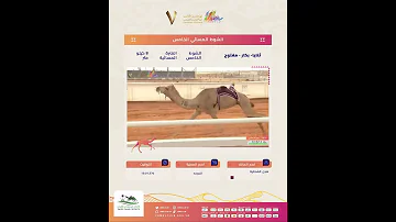 [ZH] 第五晚双倍半#King_Abdulaziz_Camel_Festival7