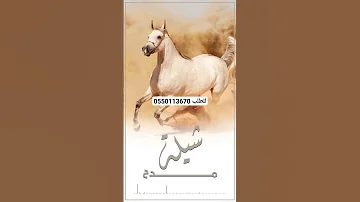 [EN] A new enthusiastic praise song Exclusively | 2024, new - to order 0550113670
