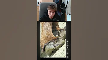 i guess thats how they do it.. #timing #perfecttiming #comedy #fail #fyp