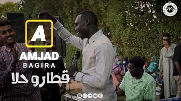 امجد باقيرا - قطارو حلا | حفلة كافوري | New اغاني سودانية 2021