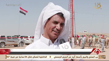 [EN] Sixth Bulletin | The Camel Festival kicks off in New Alamein, with the participation of hundreds of contestants