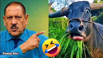 [EN] Best of Funny fails (Ep99) ???? Try not to laugh | Best funny videos ever ????????